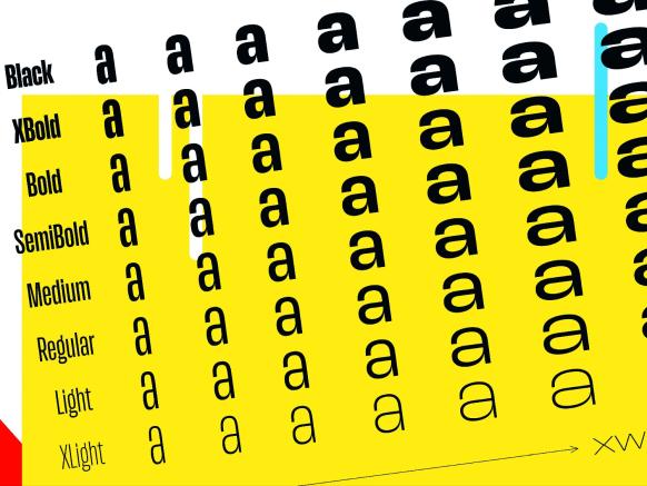 Eine Schrift entsteht – ein Blick hinter die Kulissen