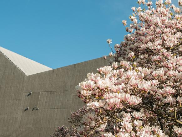 Museo Nazionale, Zurigo