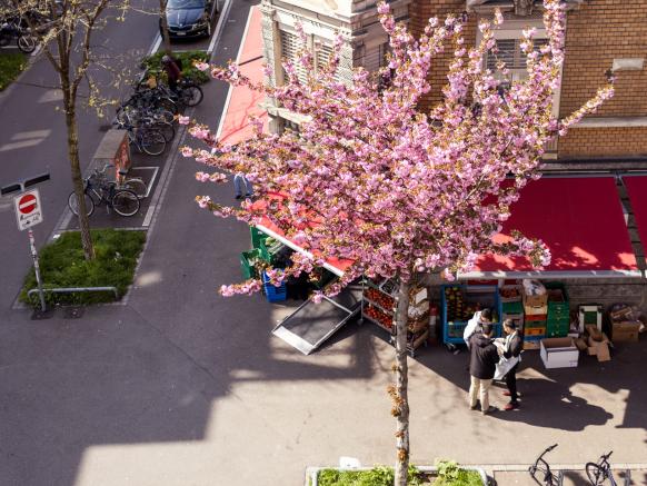 Gasometerstrasse, Zurich