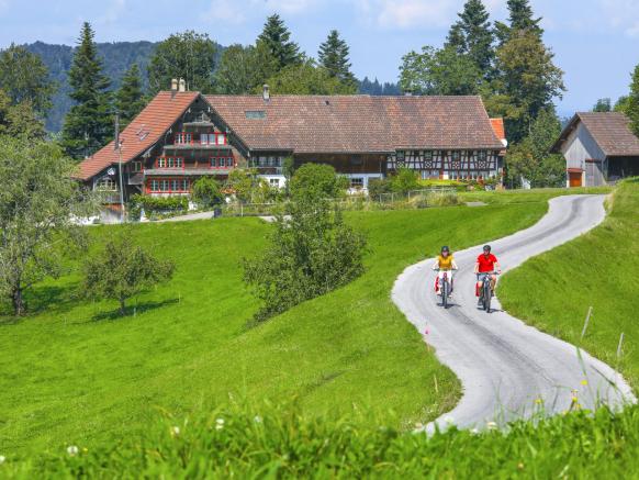 Züri Oberland