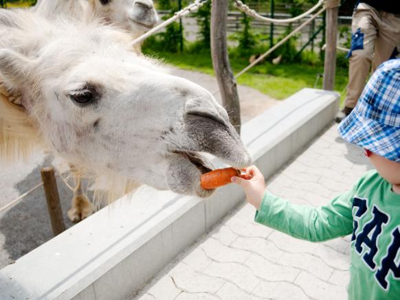 Knie’s Children’s Zoo